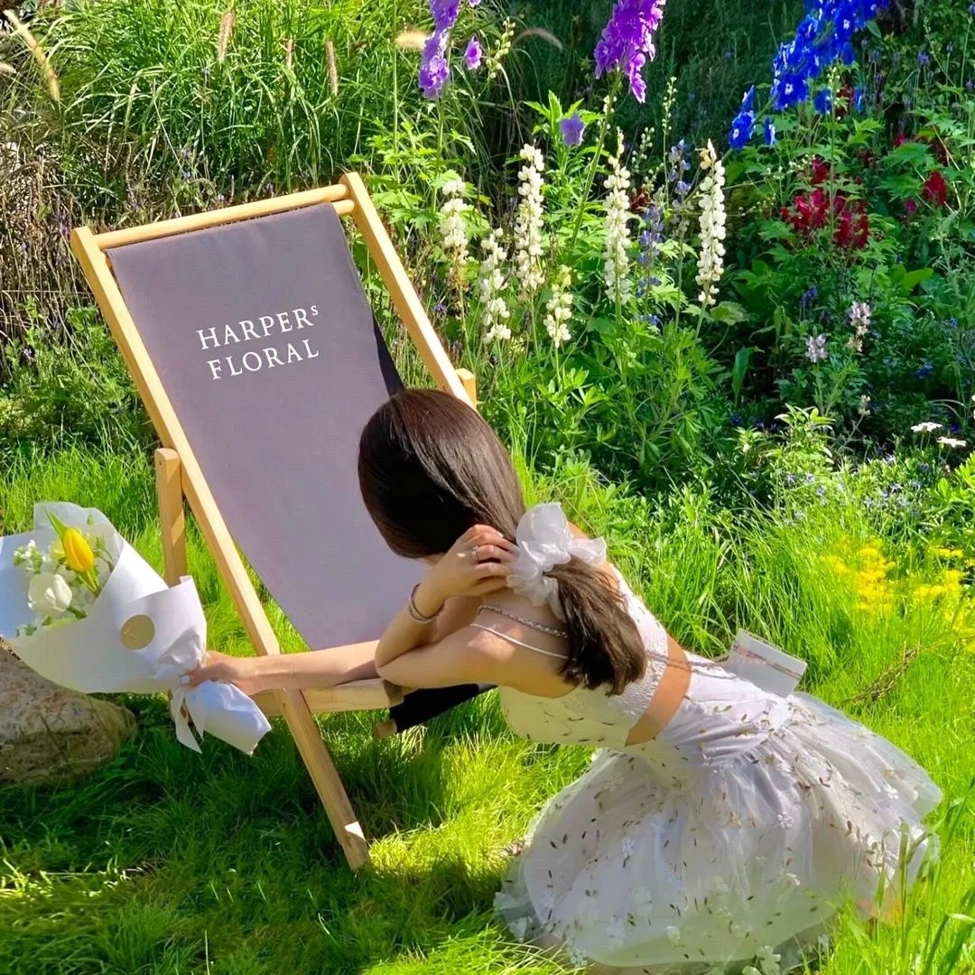 披荆斩棘·海尔之夜